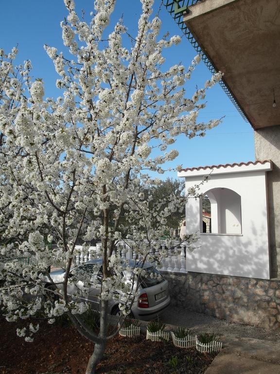 Apartment Antonio Šibenik Eksteriør billede